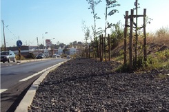 Passeios junto a Estrada Nacional 10 - Setúbal