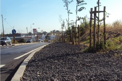 Passeios junto a Estrada Nacional 10 - Setúbal